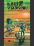 Muž v labyrintu - náhled