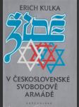 Židé v československé Svobodově armádě - náhled