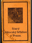 Starý židovský hřbitov v Praze - náhled