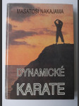 Dynamické karate - náhled