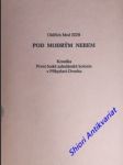 POD MODRÝM NEBEM - Kronika První české salesiánské kolonie v Přibyslavi-Dvorku - MED Oldřich - náhled