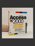 Microsoft Access 2000 - Základní příručka - náhled