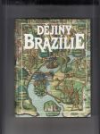 Dějiny států: Dějiny Brazílie - náhled