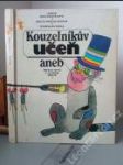 Kouzelníkův učeň aneb mnoho myší v jednom městě - náhled