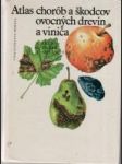Atlas chorôb a škodcov ovocných drevín a viniča - náhled