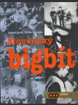 Slovenský bigbít - náhled