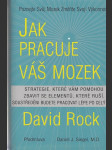 Jak pracuje váš mozek - náhled