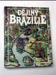 Dějiny brazílie - náhled