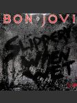 Bon Jovi - Slippery when wet (LP) - náhled