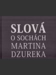 Slová o sochách Martina Dzureka - náhled