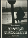 Zrození velkoměsta - náhled