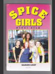 Spice Girls / dívčí síla - náhled