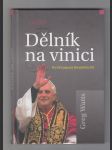 Dělník na vinici / portrét papeže Benedikta XVI. - náhled