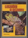 Leguáni a agamy / příručka pro teraristy - náhled