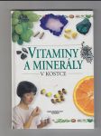 Vitaminy a minerály v kostce - náhled