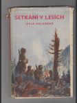 Setkání v lesích - náhled