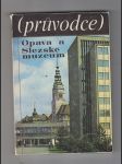 Průvodce / Opava a Slezské muzeum - náhled
