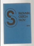 Slovník cizích slov - náhled