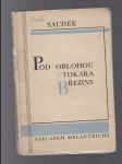 Pod oblouhou Otokara Březiny - náhled