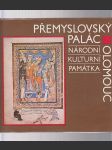 Přemyslovský palác - národní kulturní památka Olomouc - náhled
