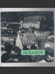 Holešov - náhled