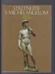 Stretnutie s Michelangelom - náhled