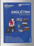 Angličtina - maturitní témata - náhled