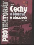 Protektorát Čechy a Morava v obrazech - náhled
