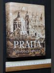 Praha : průvodce městem - náhled
