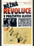 Něžná revoluce v pražských ulicích - náhled