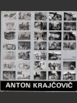 Anton Krajčovič - náhled