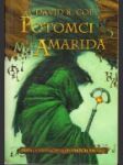 Potomci Amarida : [první kniha Lon Tobynských kronik] - náhled