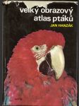 Velký obrazový  atlas  ptáků - náhled