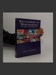 Encyclopedia of Merchandising - náhled