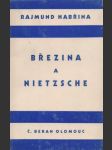 Březina a Nietzsche - náhled