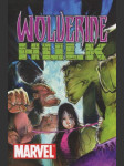 Wolverine - Hulk - náhled
