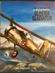 Gloster Gladiator - náhled