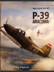 P-39 Airacobra - náhled