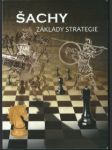 Šachy – základy strategie - náhled
