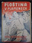 Ploština v plamenech : Partyzánská kronika [brigády Jana Žižky] - náhled