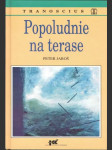 Popoludnie na terase - náhled