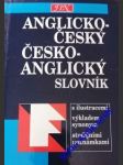 Anglicko- český a česko- anglický slovník - kolektiv autorů - náhled
