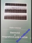 Elektrická a magnetická pole v léčbě - grünner oldřich - náhled