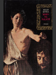 Krev na paletě (Caravaggio): Román malíře - náhled