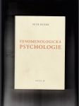 Fenomenologická psychologie - náhled
