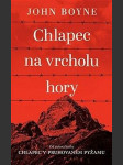 Chlapec na vrcholu hory - náhled