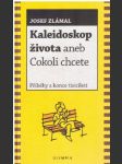 Kaleidoskop života aneb Cokoli chcete - náhled