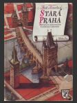 Stará Praha - náhled