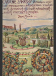 Ovocné zákrsky ve tvarech umělých i přirozených a jich pěstování v zahradách domácích, školních, rolnických i sadech ovocných - náhled