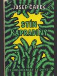 Stín kapradiny - náhled